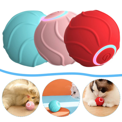 PetPlay Interactive Toy Duo™