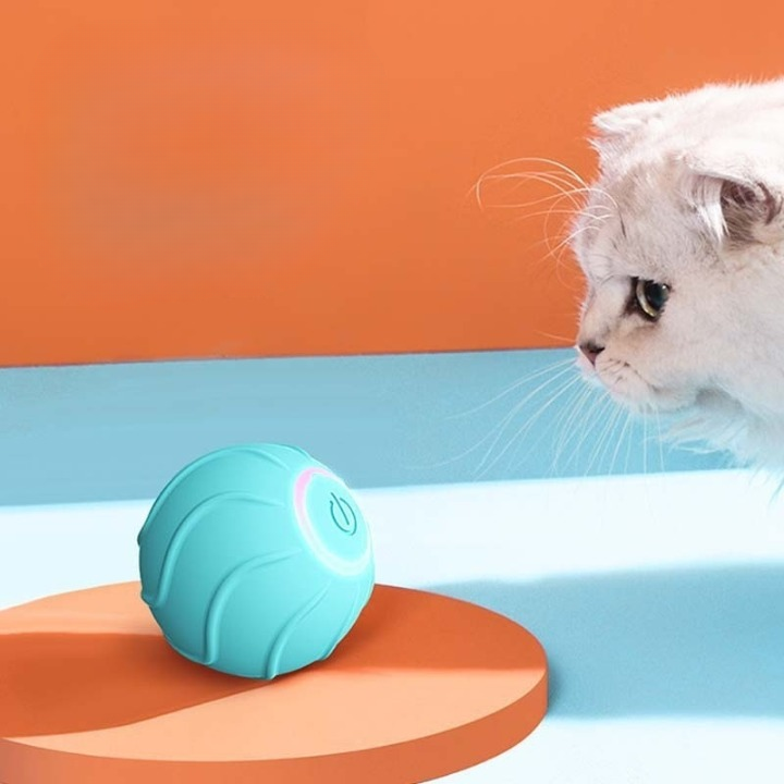 PetPlay Interactive Toy Duo™