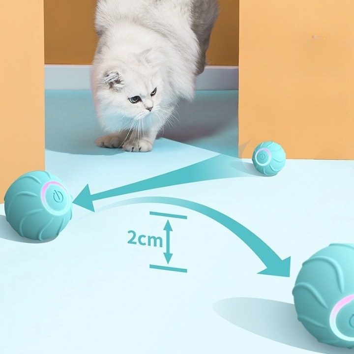 PetPlay Interactive Toy Duo™